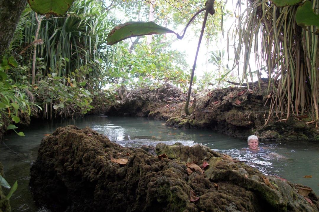 Photo of Others in Cahuita