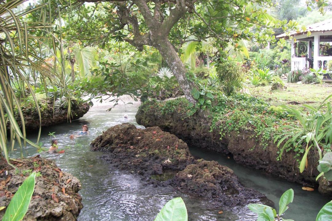 Photo of Others in Cahuita