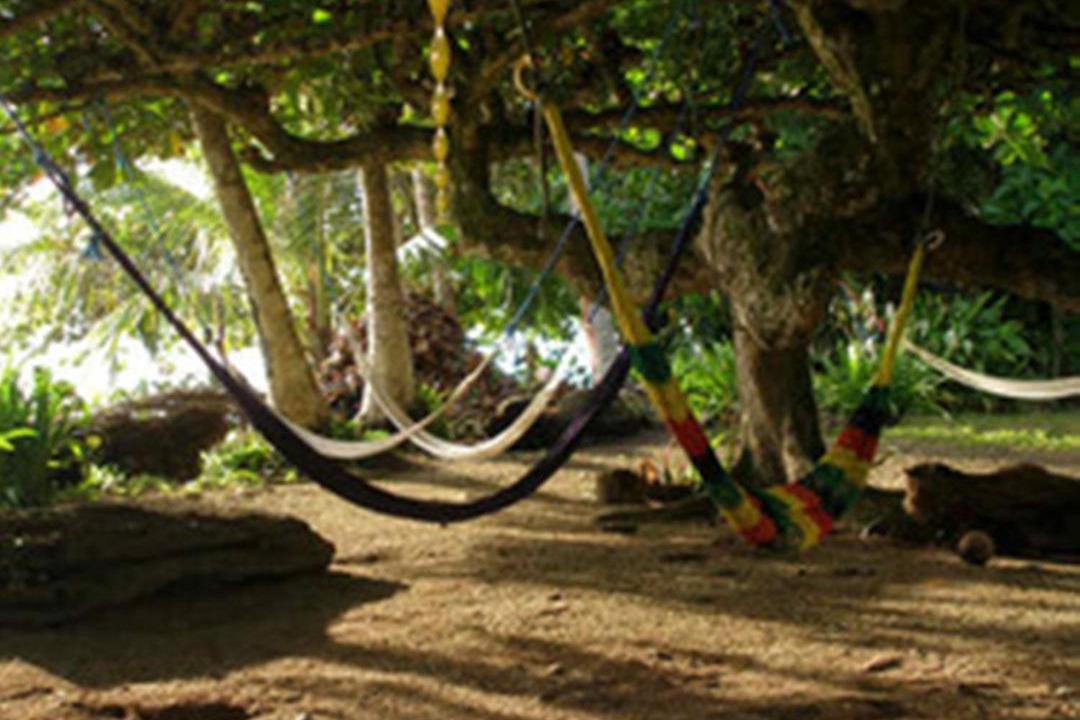 Photo of Others in Cahuita