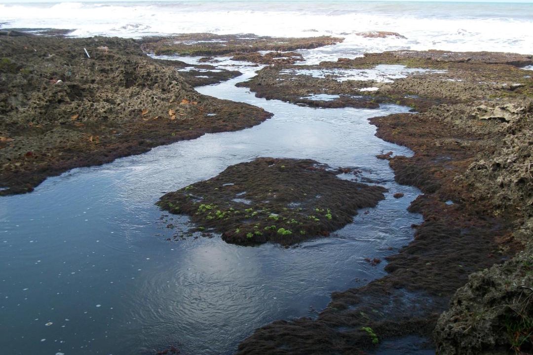 Photo of Outdoor in Cahuita