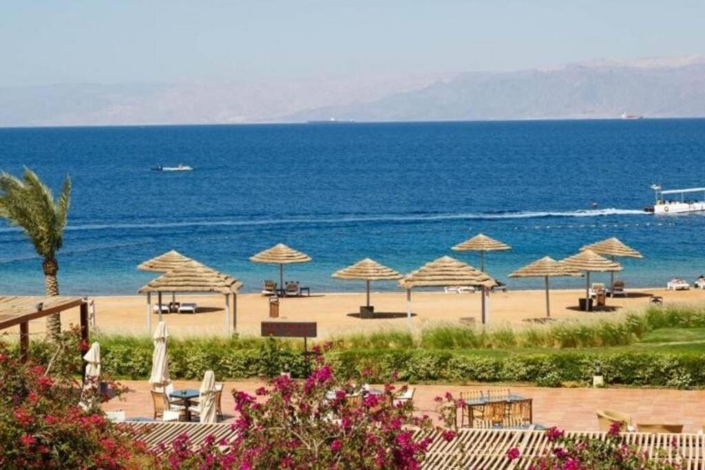 Photo of Others in Aqaba