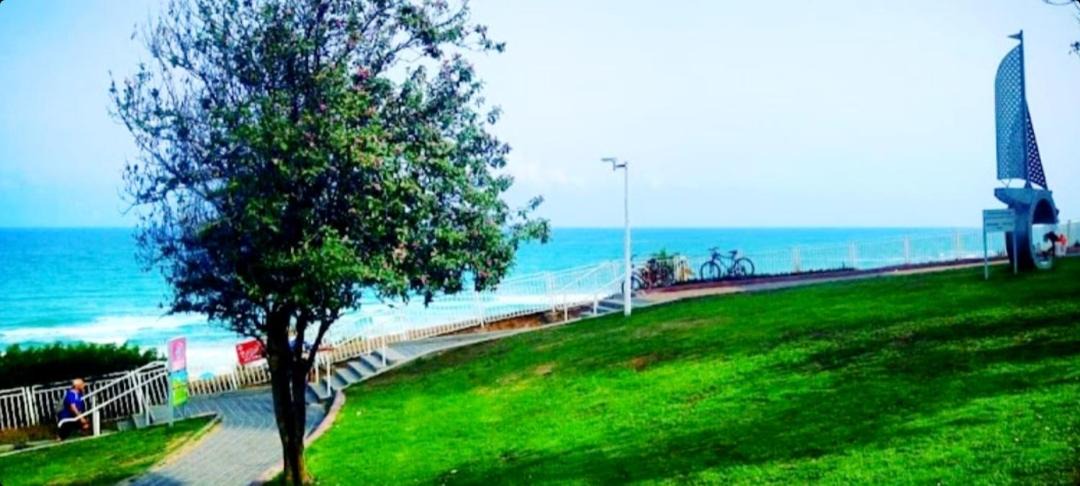 Photo of Others in Bat Yam