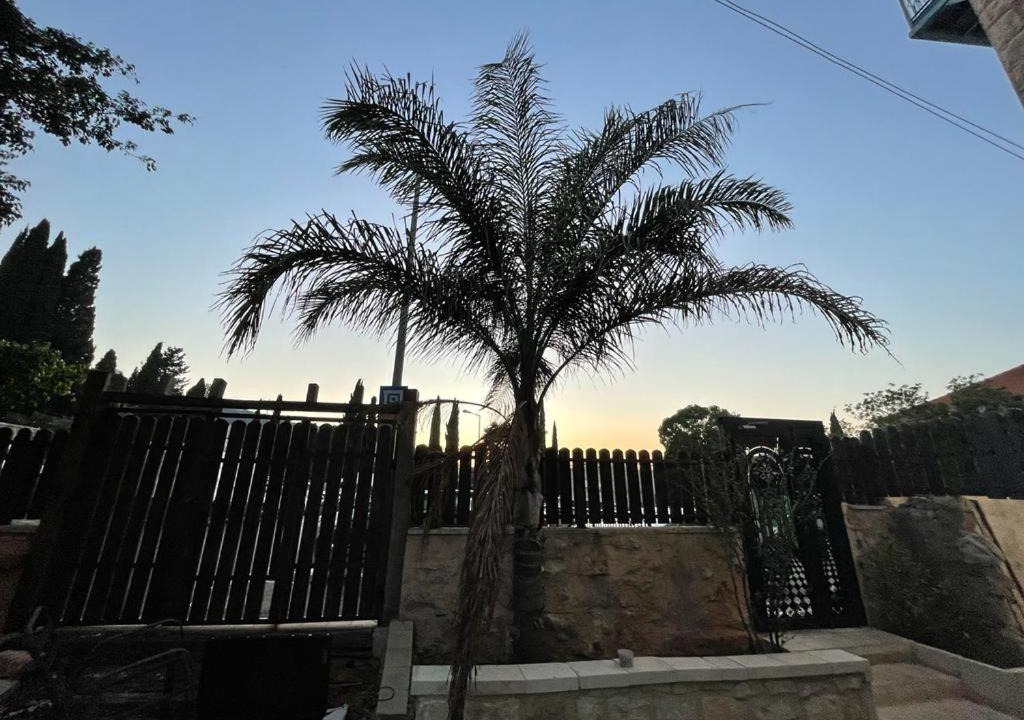 Photo of Others in Haifa
