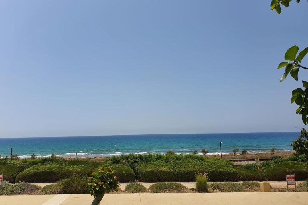 Photo of Outdoor in Haifa