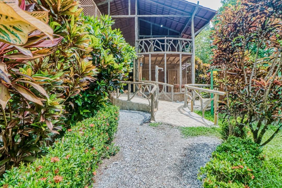 Photo of Others in Cabo Matapalo