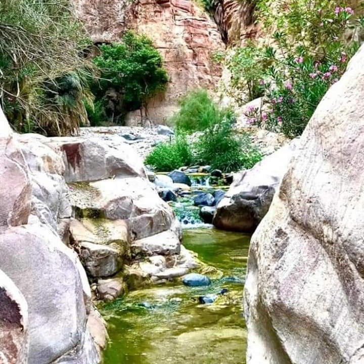 Photo of Others in Wadi Araba Sub-District