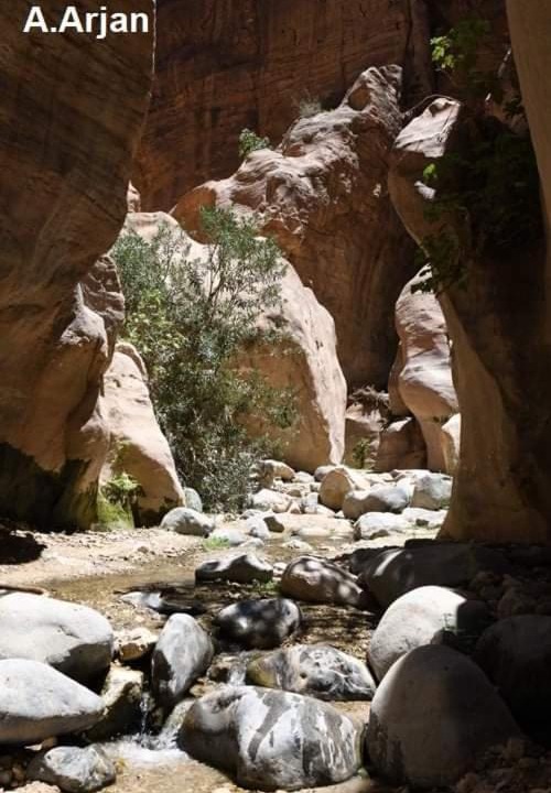 Photo of Others in Wadi Araba Sub-District