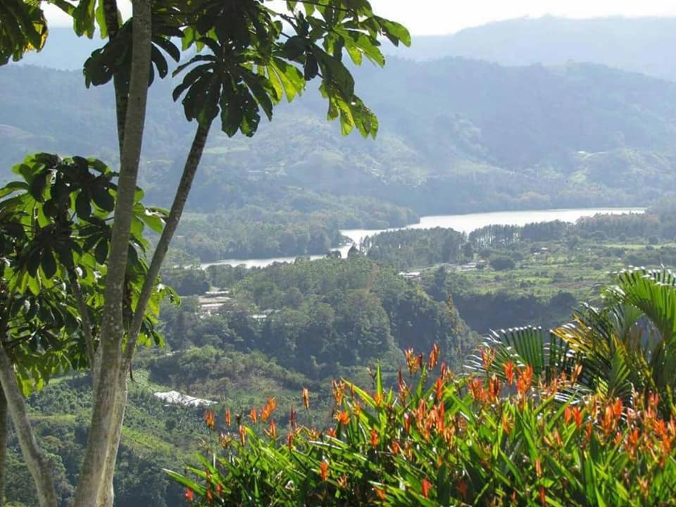 Photo of Others in Pacuare Reserve