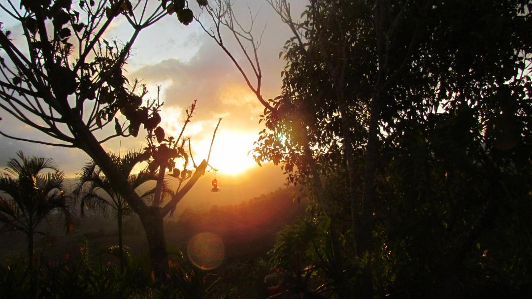 Photo of Others in Pacuare Reserve