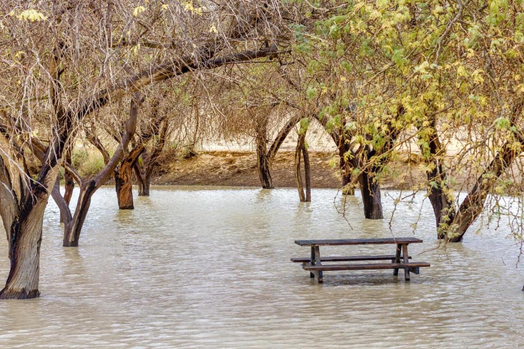 Photo of Others in Merhav Am