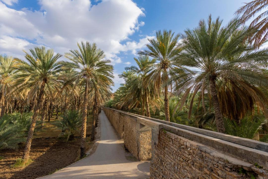 Photo of Others in Nizwa