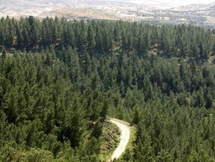 Photo of Others in Yavne'el
