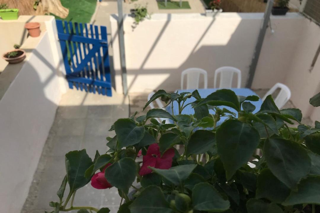 Photo of Others in Neve Zohar