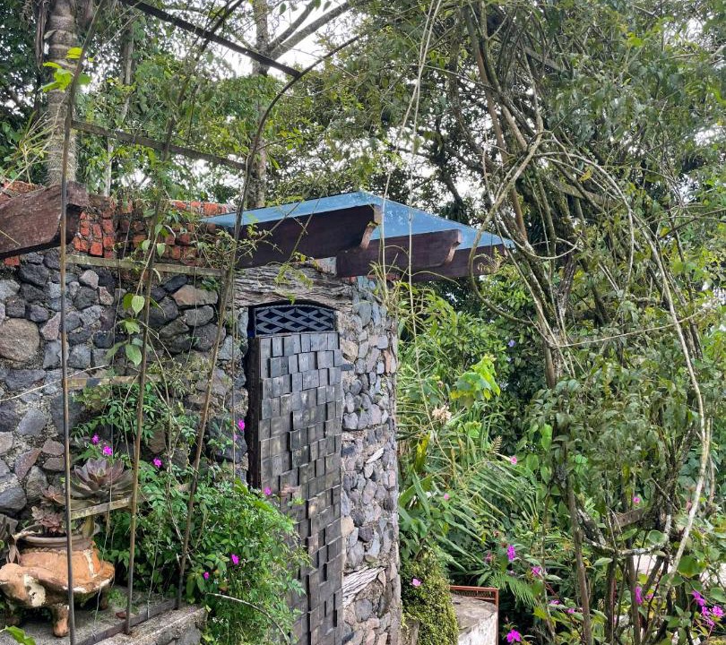 Photo of Others in Colonia del Toro