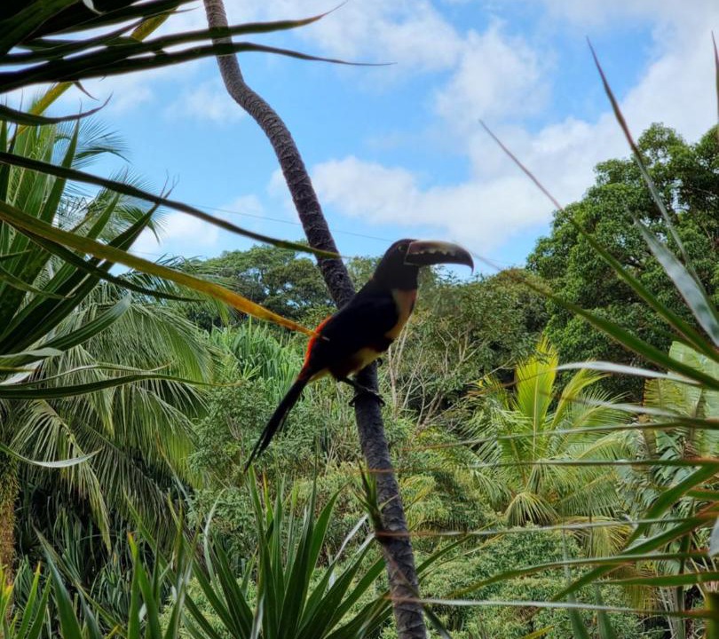 Photo of Others in Arenal