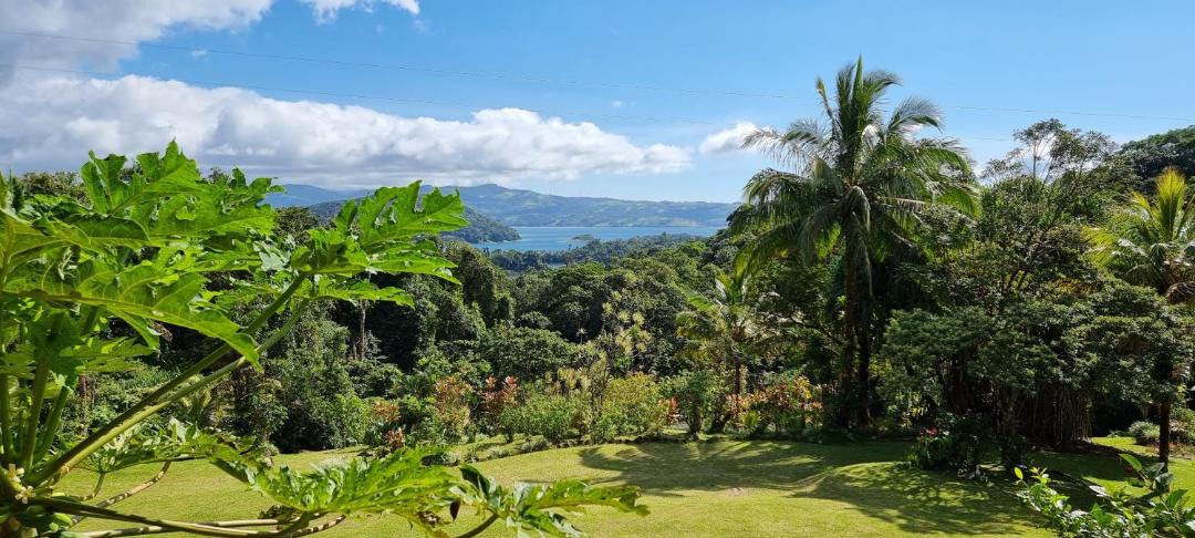 Photo of Others in Arenal