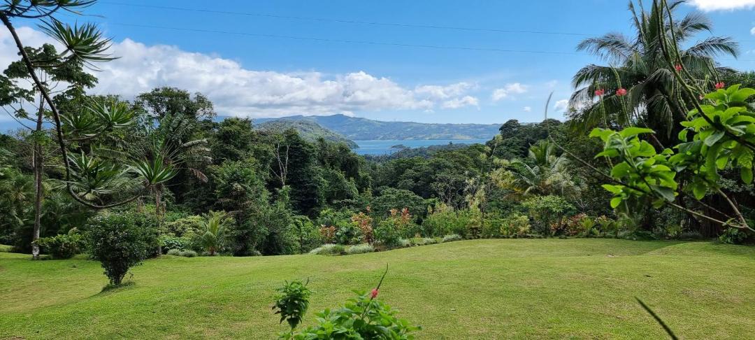 Photo of Others in Arenal