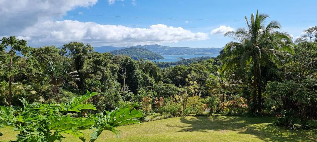 Photo of Others in Arenal