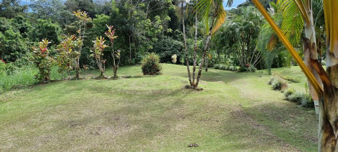 Photo of Others in Arenal