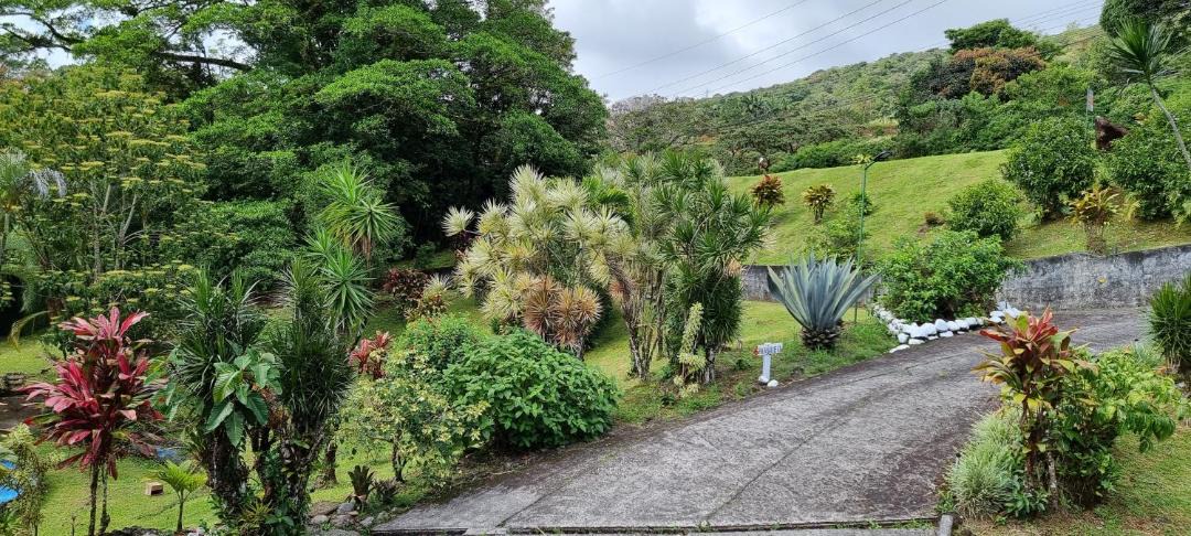 Photo of Others in Arenal