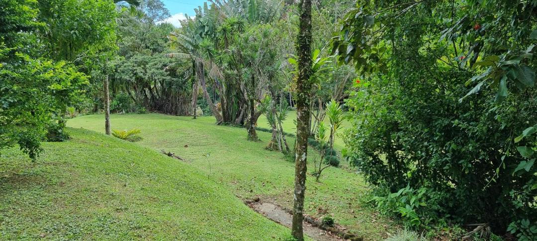 Photo of Others in Arenal