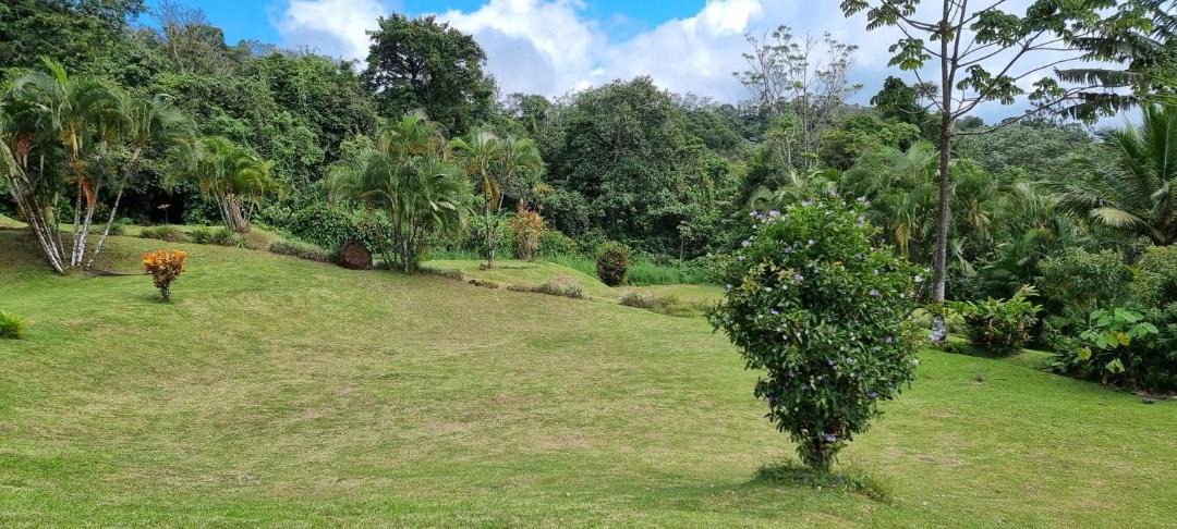 Photo of Others in Arenal