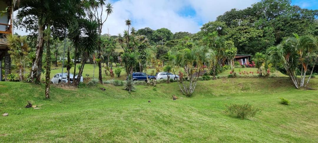 Photo of Others in Arenal