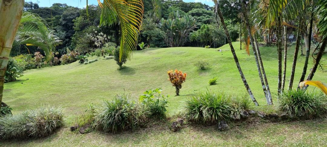 Photo of Others in Arenal