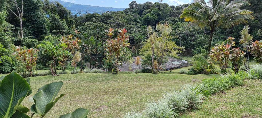 Photo of Others in Arenal