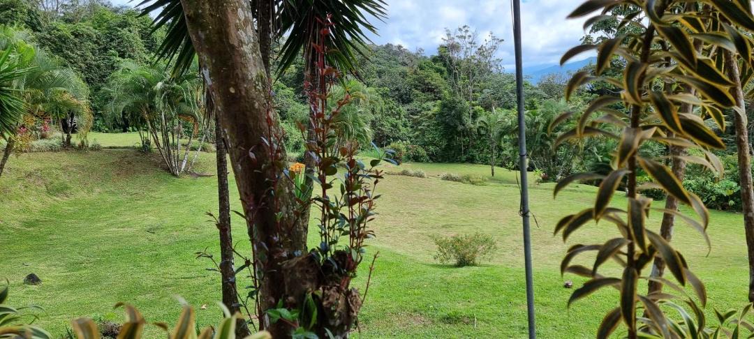 Photo of Others in Arenal