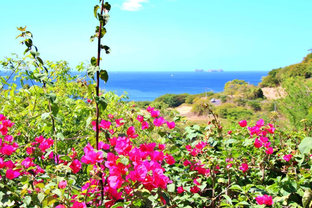 Photo of Outdoor in Potrero