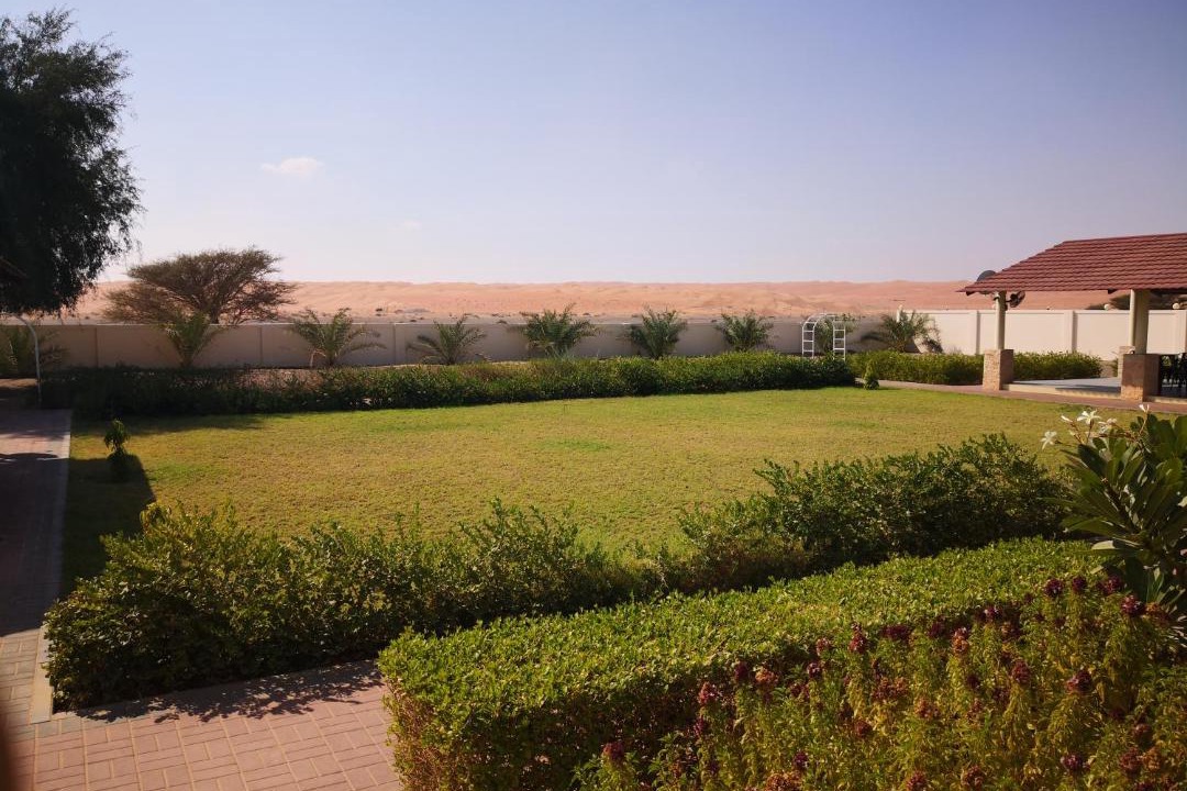 Photo of Others in Al Wasil