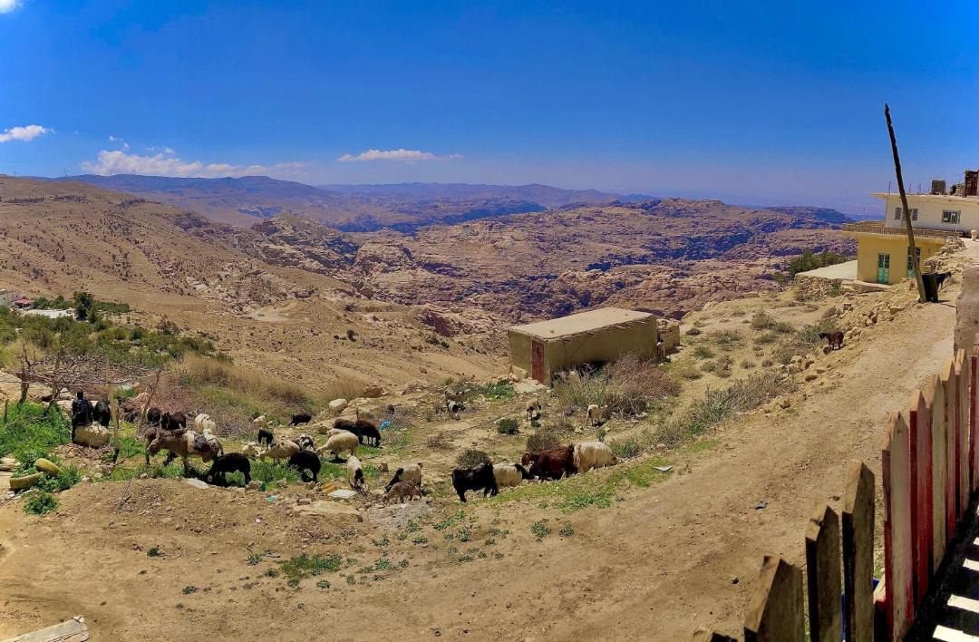 Photo of Others in At-Taybeh