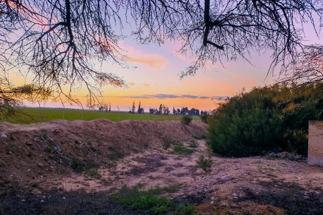 Photo of Others in Eshkol