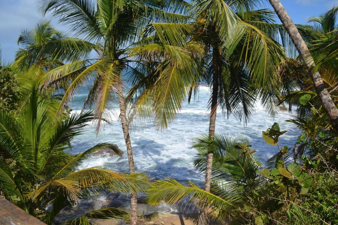 Photo of Others in Cahuita