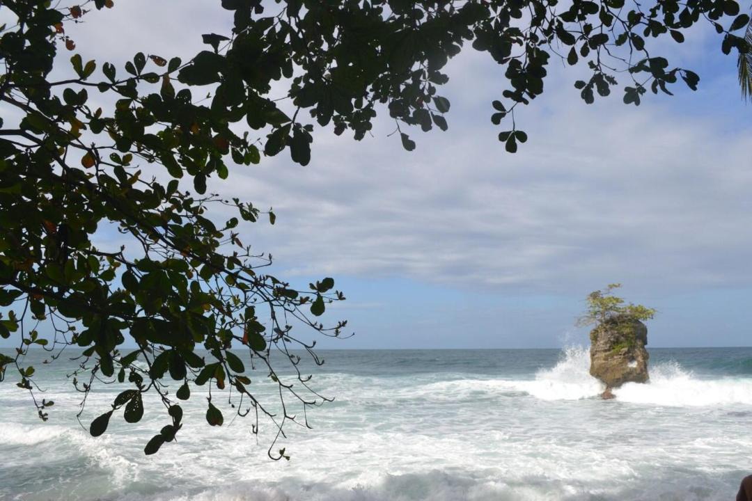 Photo of Others in Cahuita