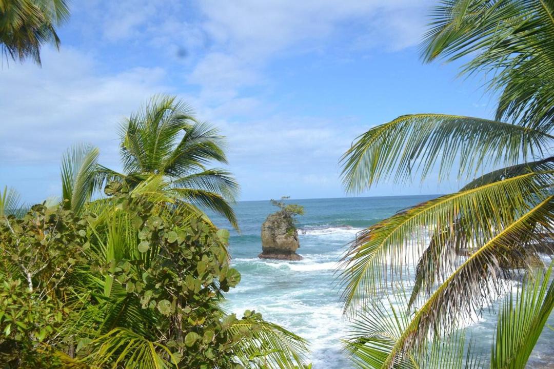 Photo of Others in Cahuita