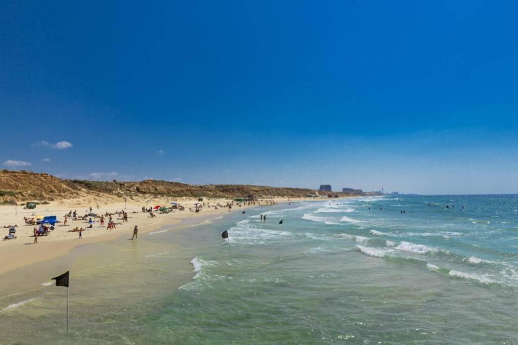 Photo of Others in Herzliya Pituach