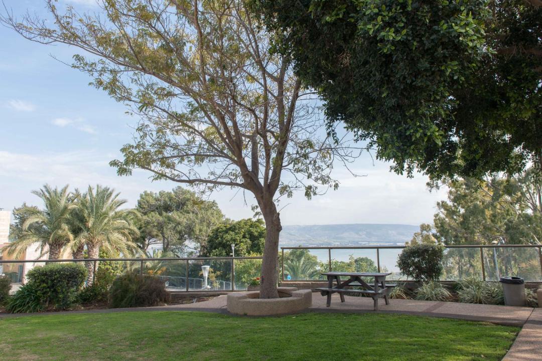 Photo of Others in Kinneret