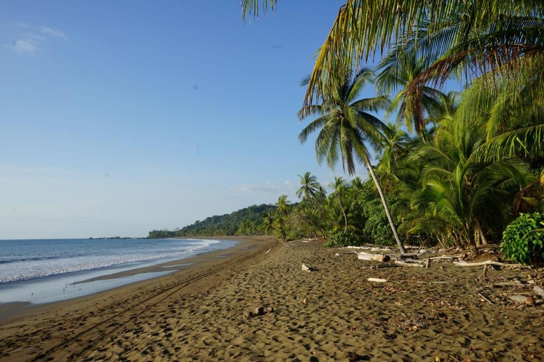 Photo of Outdoor in Drake Bay
