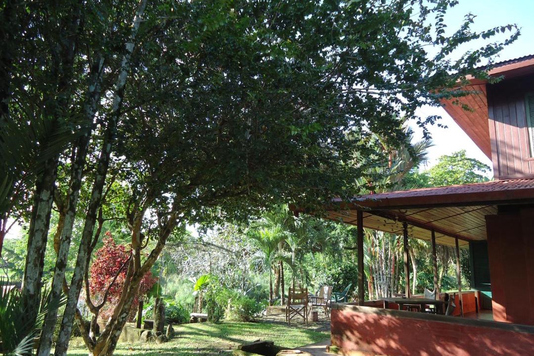 Photo of Others in Sierpe