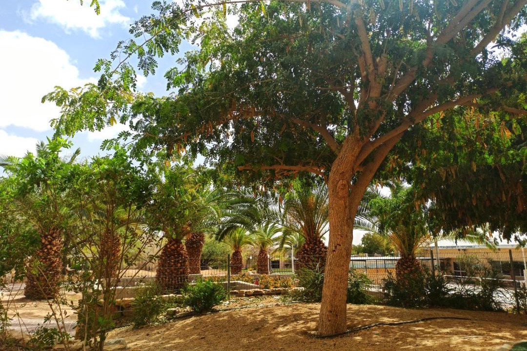 Photo of Others in Hevel Eilot