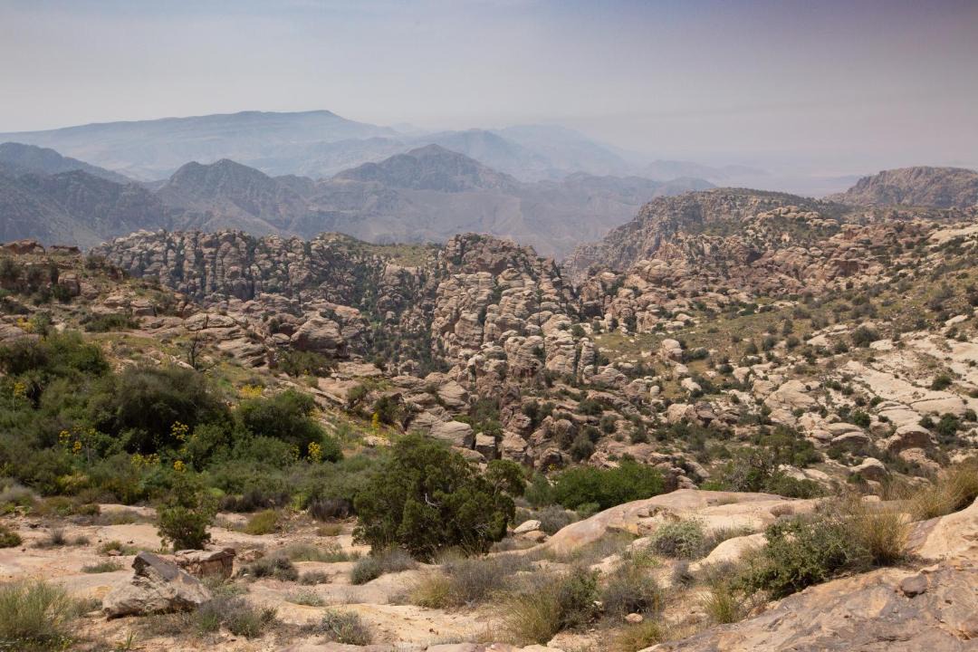 Photo of Others in Dana