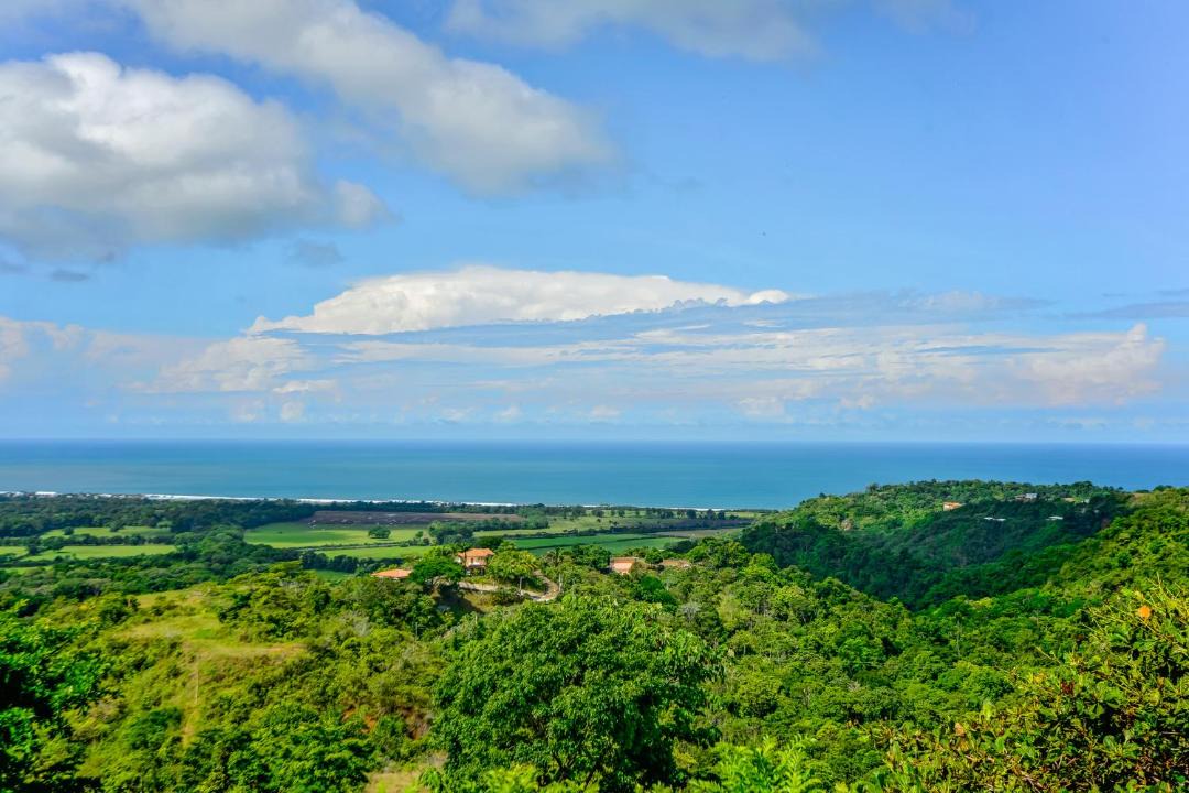 Photo of Others in Jaco