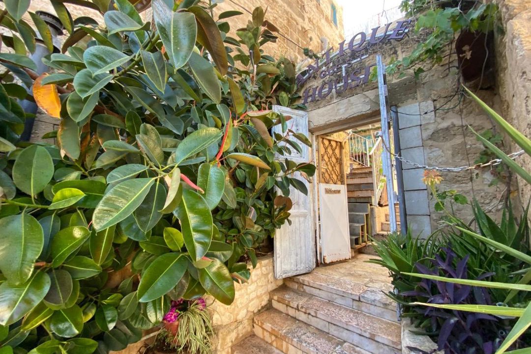 Photo of Others in Old City