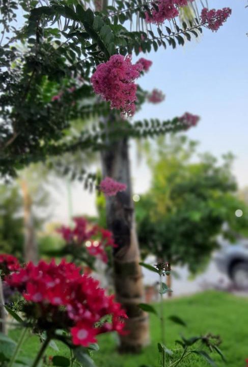 Photo of Outdoor in Emek HaMaayanot