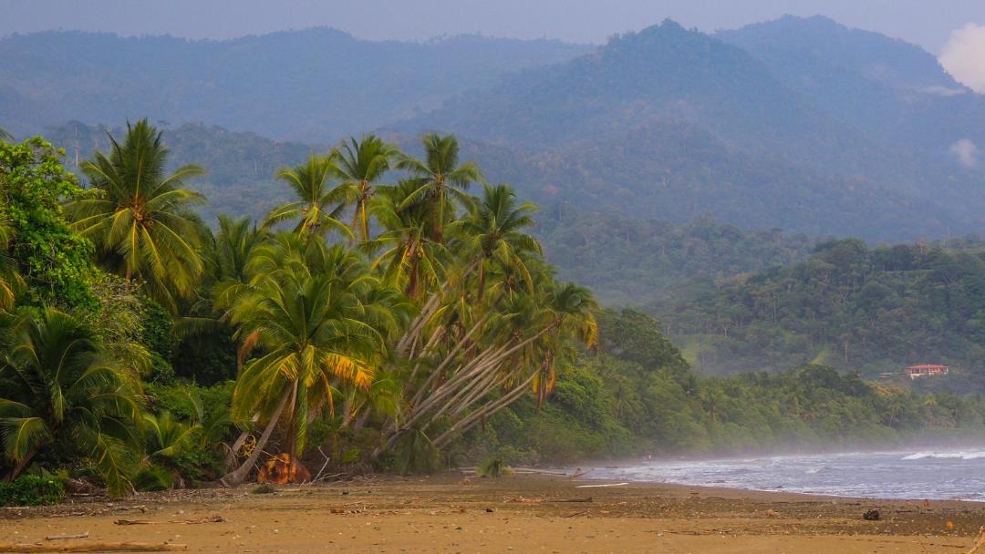 Photo of Others in Dominical