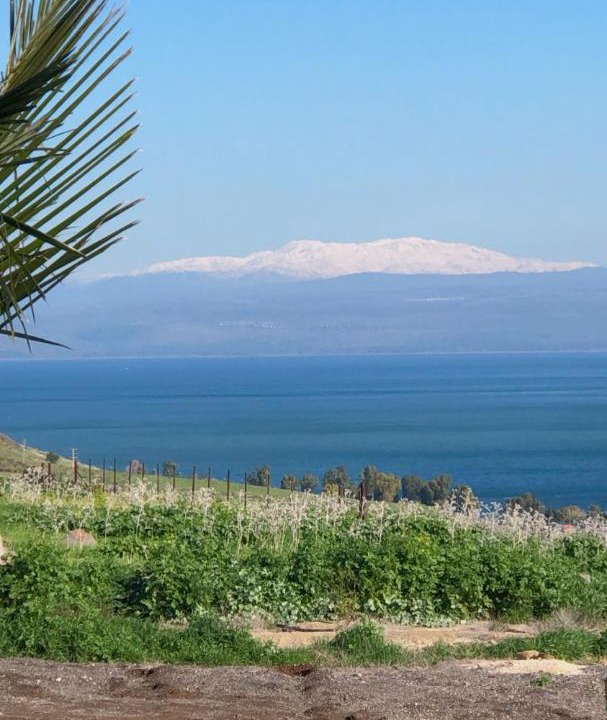 Photo of Others in Kinneret