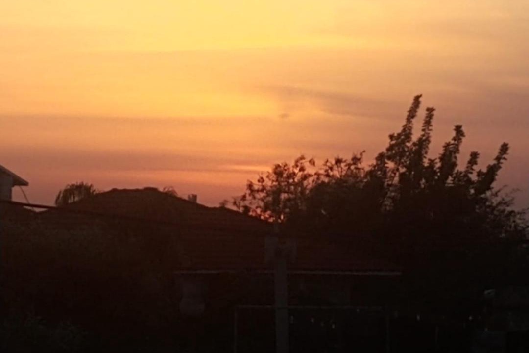 Photo of Others in Rehovot