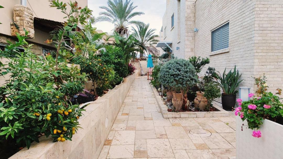 Photo of Others in Ashdod